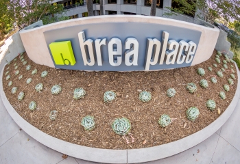 Brea-Fountain-Go-Back-26-of-27